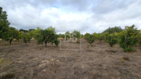 Moradia T5 para Venda em Aveiras de Cima