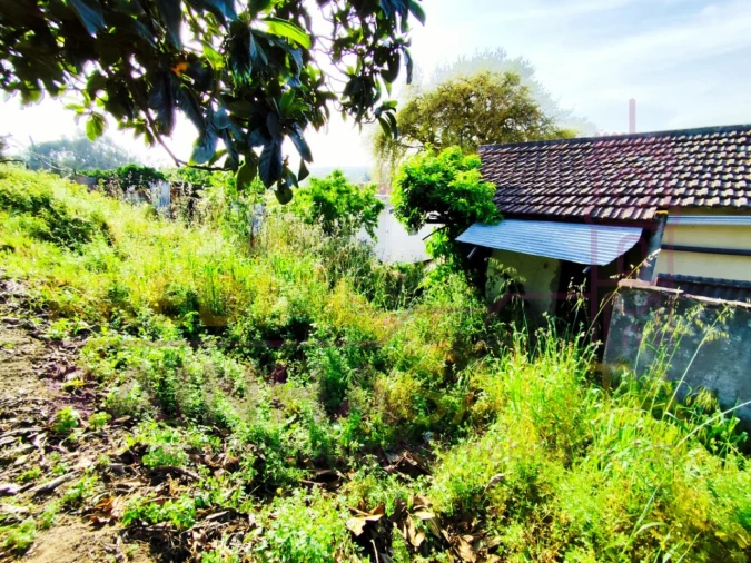 Moradia T3 para Venda em Rio Maior Foto 24