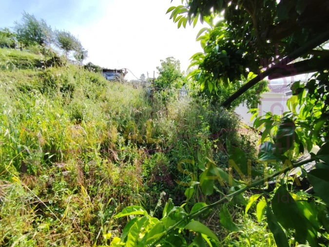 Moradia T3 para Venda em Rio Maior Foto 26