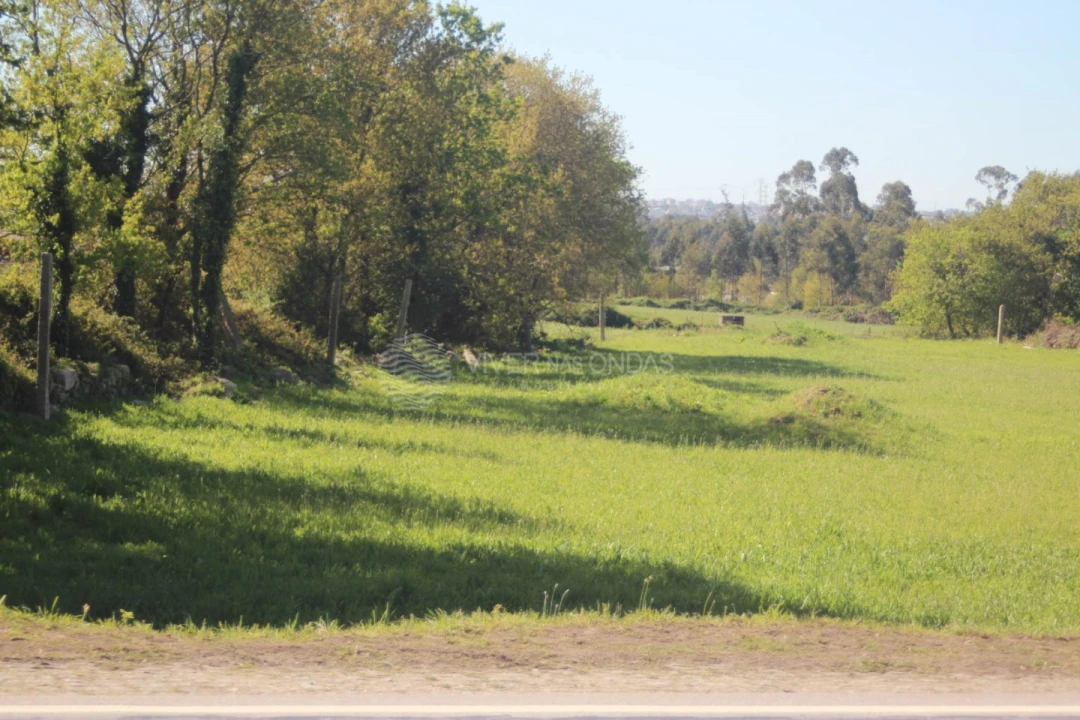 Terreno para Venda em Nogueira e Silva Escura Foto 3