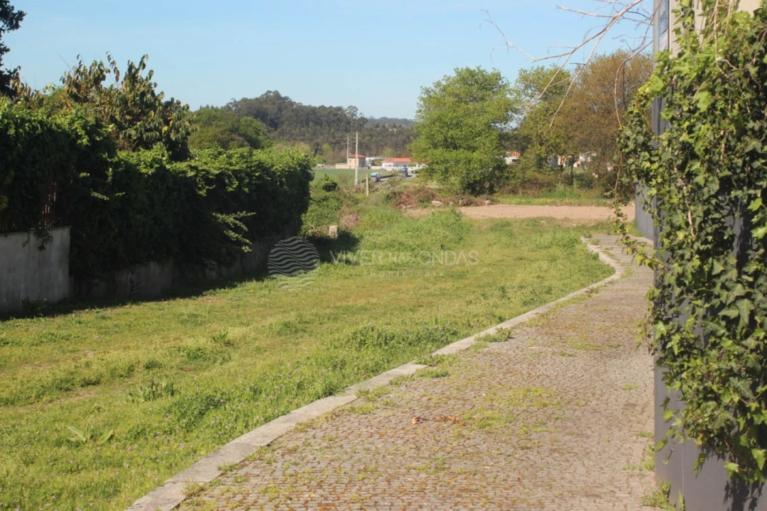 Terreno para Venda em Nogueira e Silva Escura Foto 14