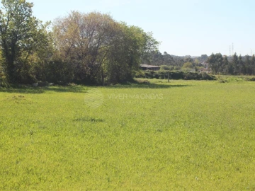Terreno para Venda em Nogueira e Silva Escura