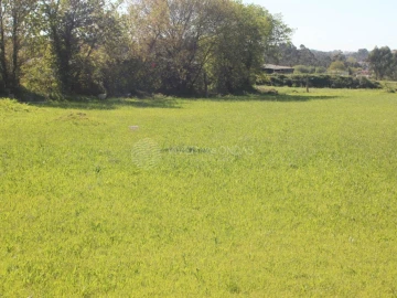 Terreno para Venda em Nogueira e Silva Escura