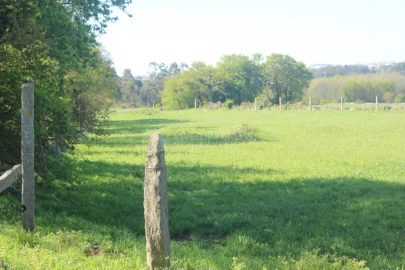 Terreno para Venda em Nogueira e Silva Escura