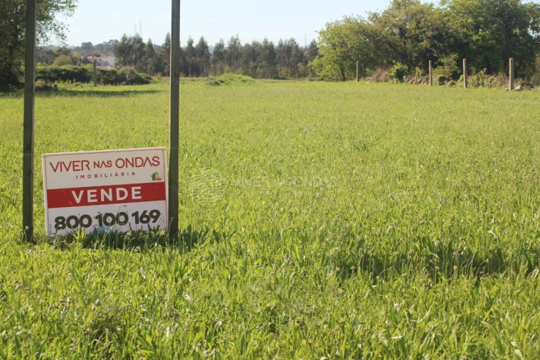 Terreno para Venda em Nogueira e Silva Escura Foto 2