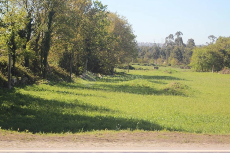 Terreno para Venda em Nogueira e Silva Escura Foto 3