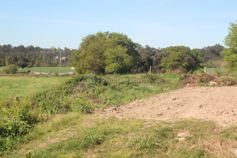 Terreno para Venda em Nogueira e Silva Escura Foto 12