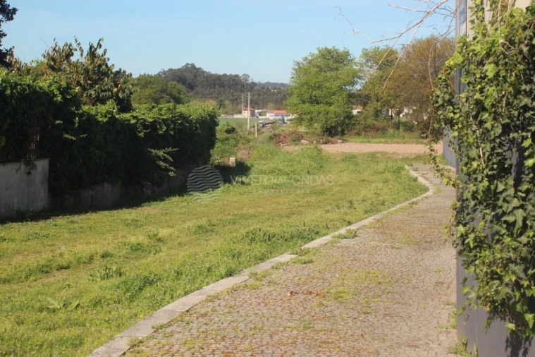 Terreno para Venda em Nogueira e Silva Escura Foto 14