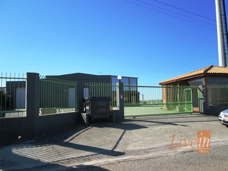 Armazém para Arrendamento em São Pedro da Cadeira Foto 5
