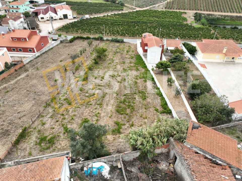 Terreno para Venda em Freiria Foto 9