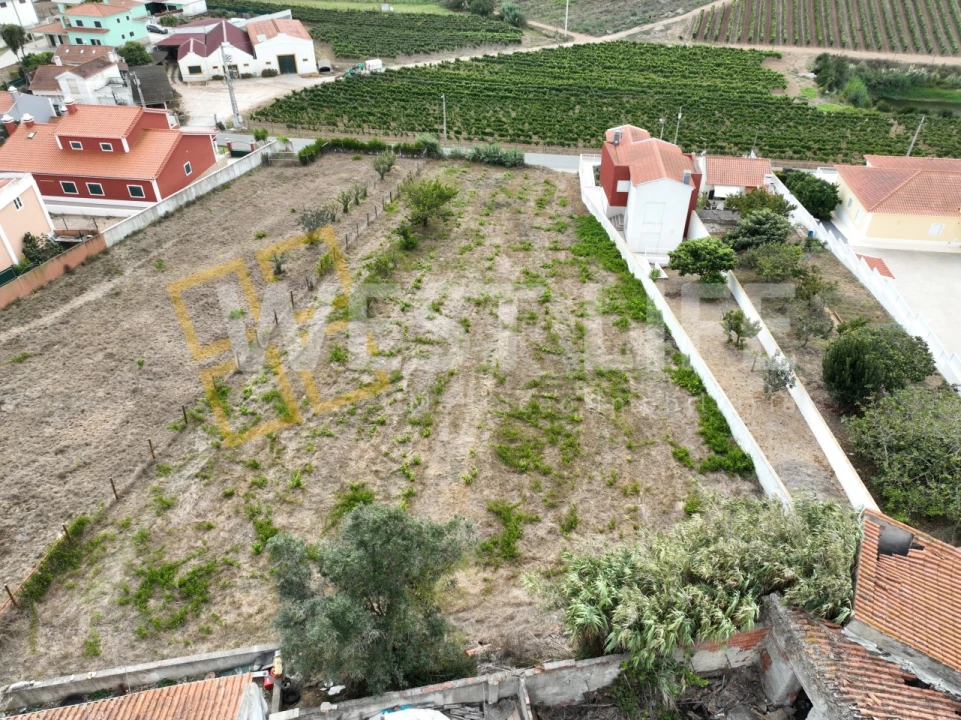 Terreno para Venda em Freiria Foto 13
