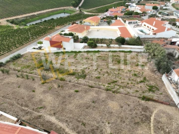 Terreno para Venda em Freiria
