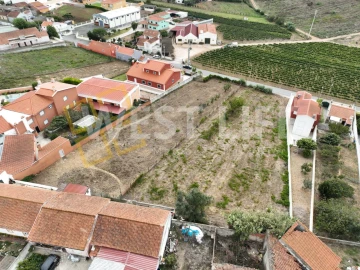 Terreno para Venda em Freiria