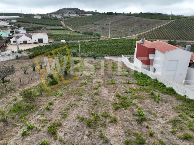 Terreno para Venda em Freiria Foto 14