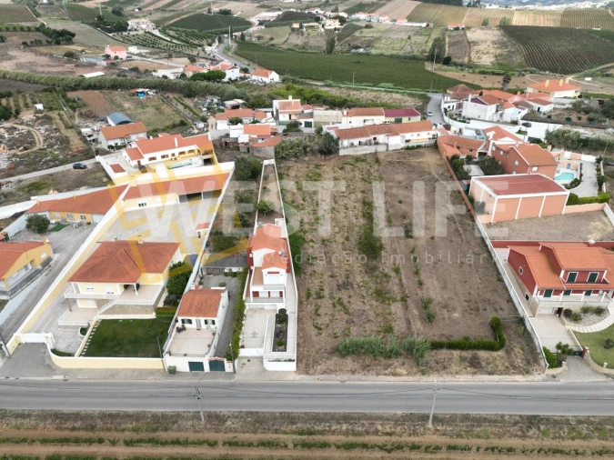 Terreno para Venda em Freiria Foto 15
