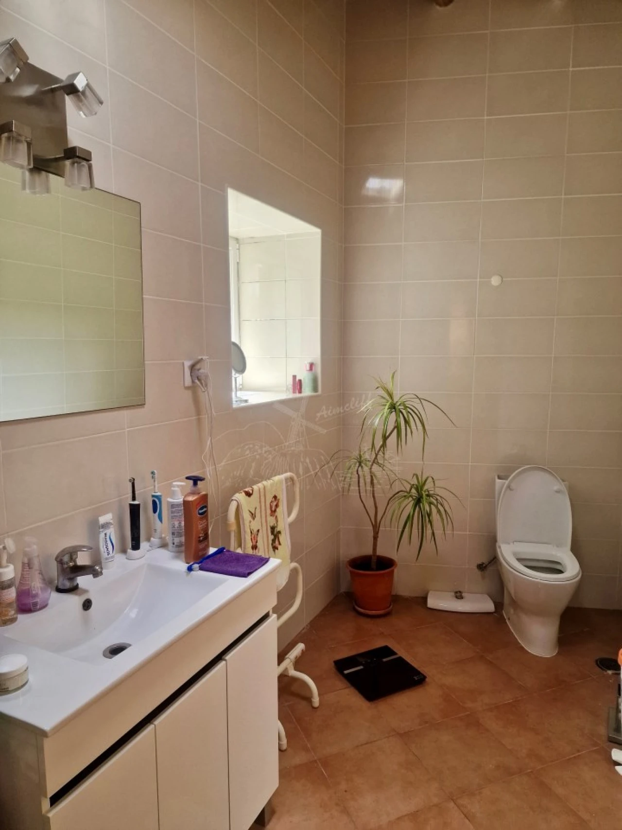 Quinta T2 para Venda em Santa Catarina da Fonte do Bispo Foto 17