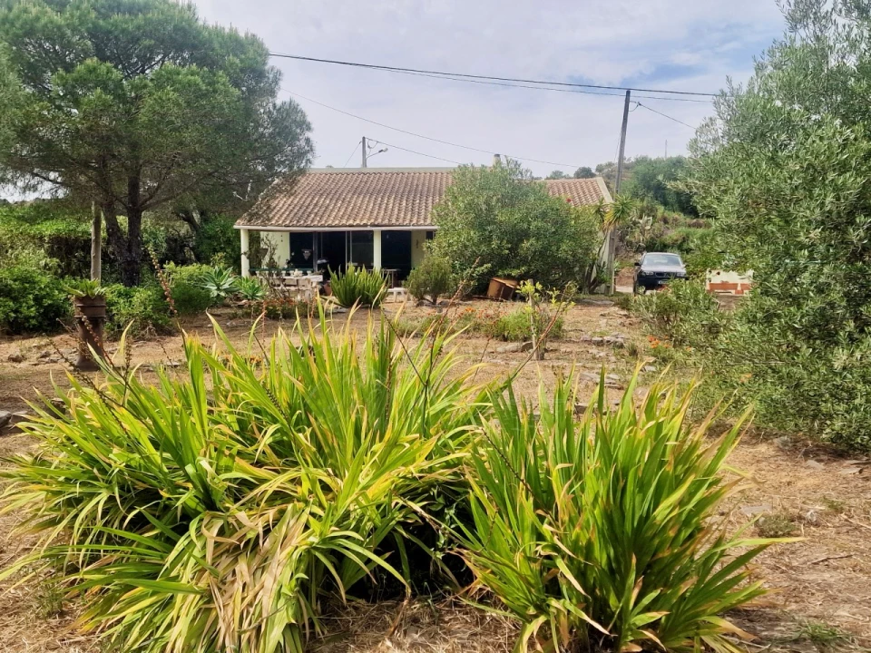 Quinta T2 para Venda em Santa Catarina da Fonte do Bispo Foto 22