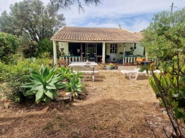 Quinta T2 para Venda em Santa Catarina da Fonte do Bispo