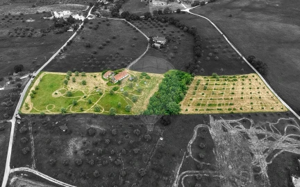 Moradia T3 para Venda em São Vicente do Paul e Vale de Figueira