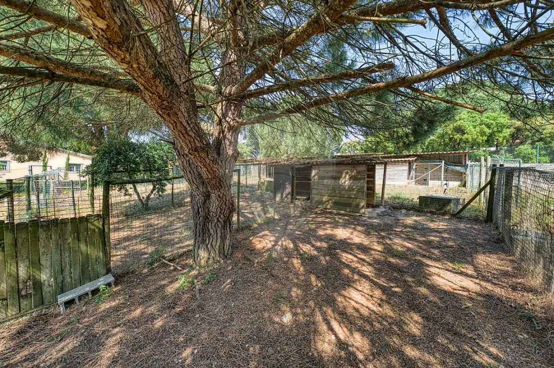 Moradia T5 para Venda em São João da Ribeira e Ribeira de São João Foto 45