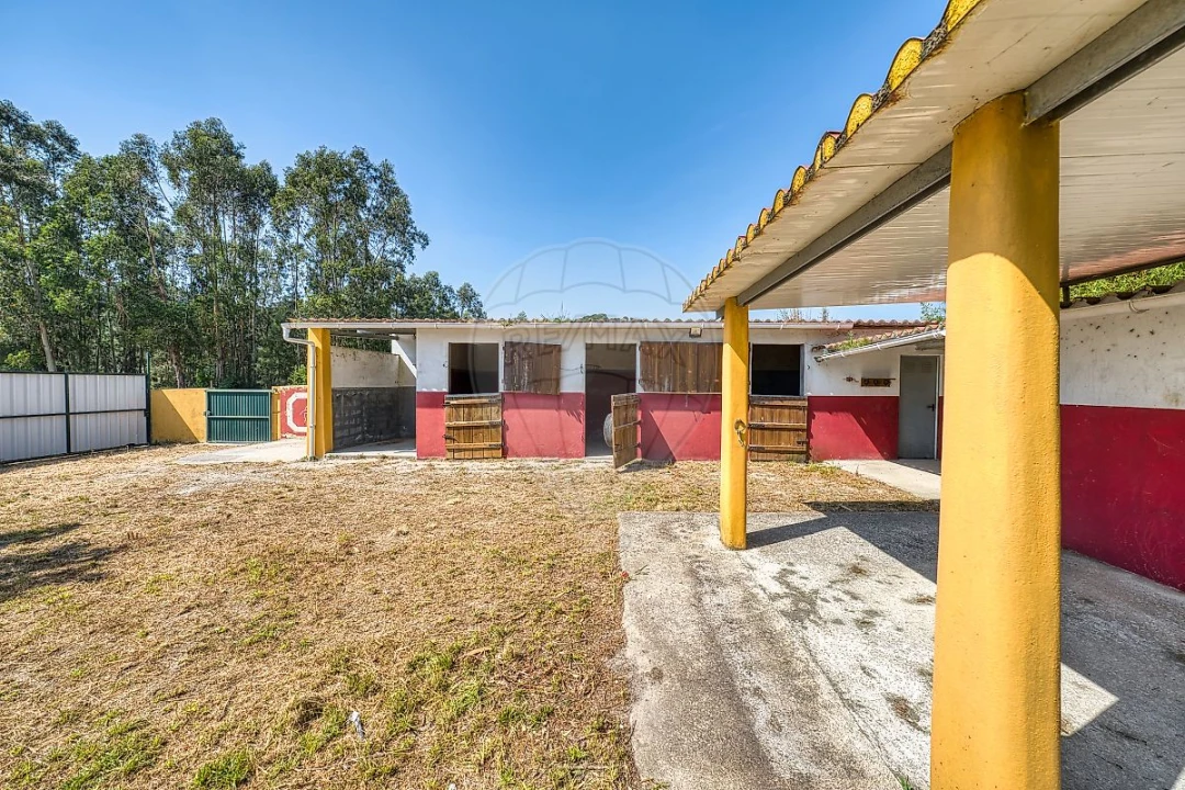 Moradia T5 para Venda em São João da Ribeira e Ribeira de São João Foto 41