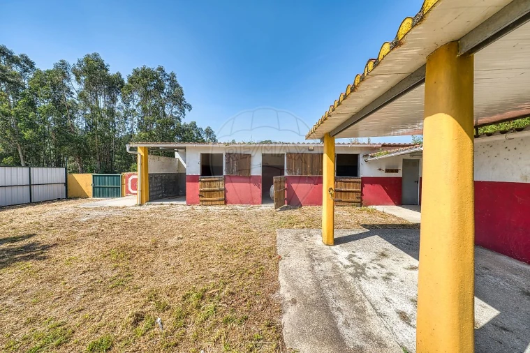 Moradia T5 para Venda em São João da Ribeira e Ribeira de São João Foto 41