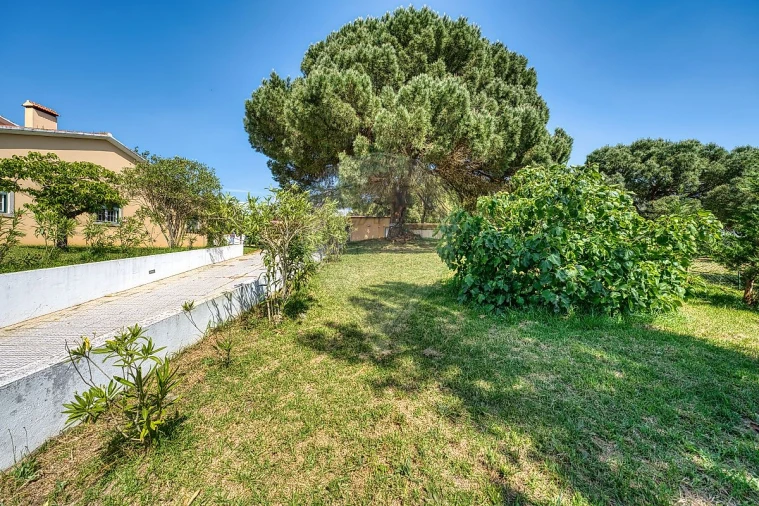 Moradia T5 para Venda em São João da Ribeira e Ribeira de São João Foto 44