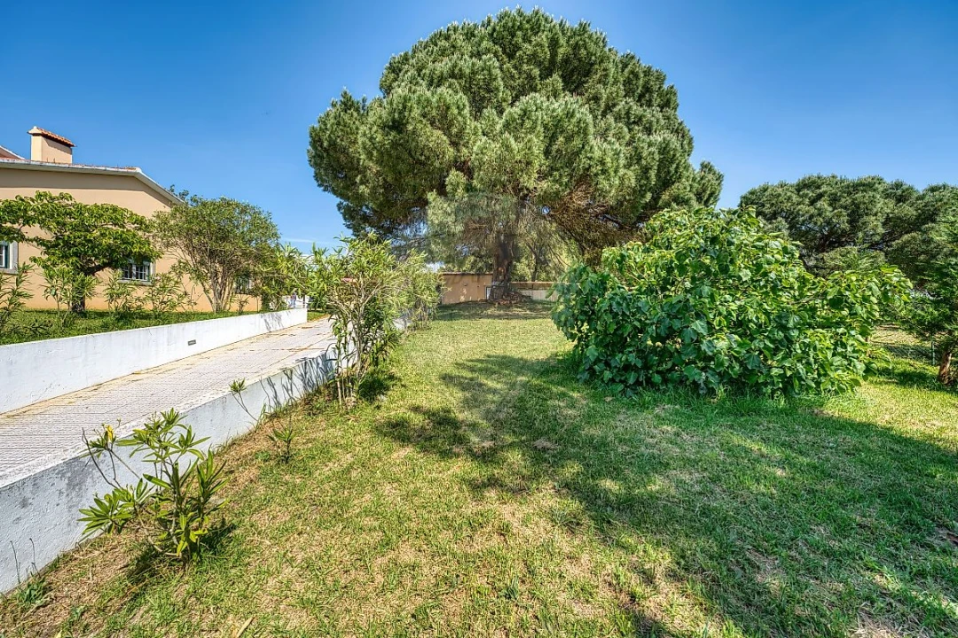 Moradia T5 para Venda em São João da Ribeira e Ribeira de São João Foto 44
