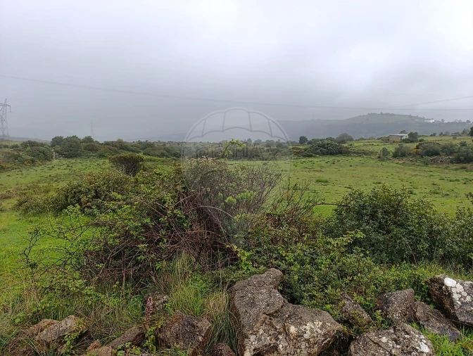 Terreno para Venda em Alhandra, São João dos Montes e Calhandriz Foto 2