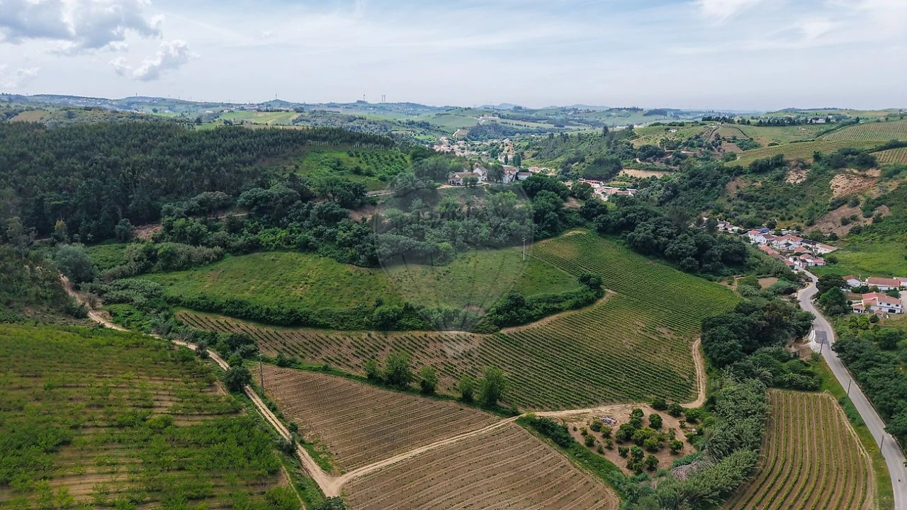 Terreno para Venda em Ribafria e Pereiro de Palhacana Foto 11