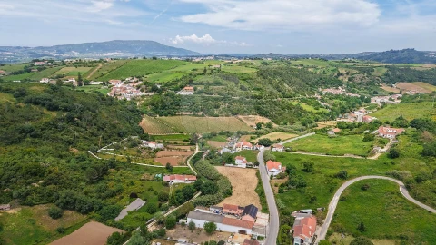 Terreno para Venda em Ribafria e Pereiro de Palhacana