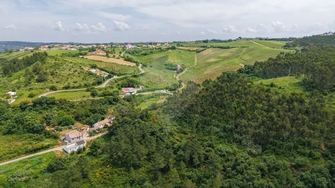 Terreno para Venda em Ribafria e Pereiro de Palhacana