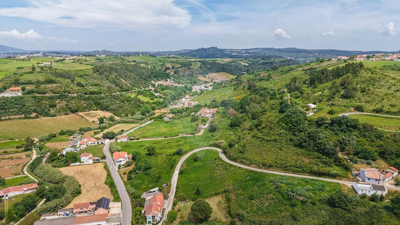 Terreno para Venda em Ribafria e Pereiro de Palhacana Foto 14