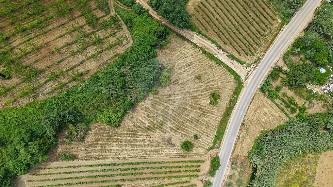 Terreno para Venda em Ribafria e Pereiro de Palhacana Foto 8