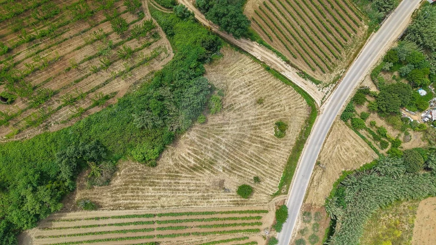 Terreno para Venda em Ribafria e Pereiro de Palhacana Foto 8