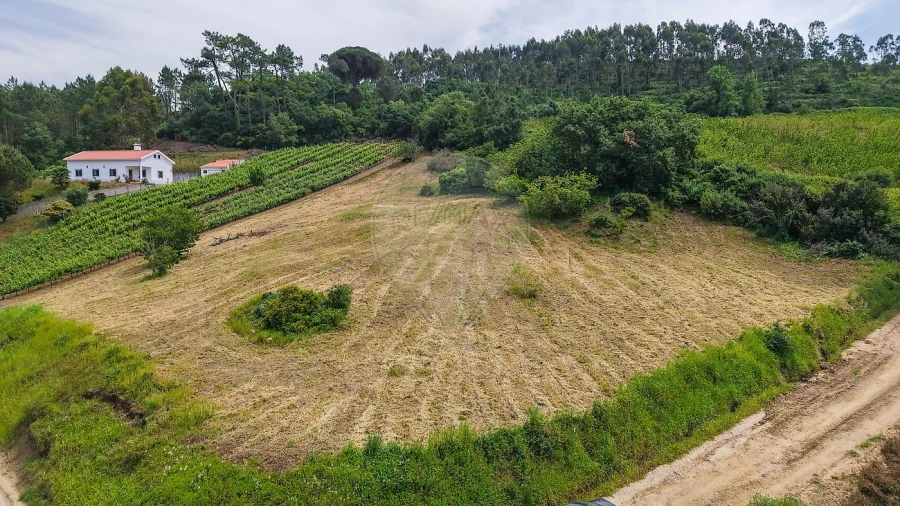 Terreno para Venda em Ribafria e Pereiro de Palhacana Foto 18
