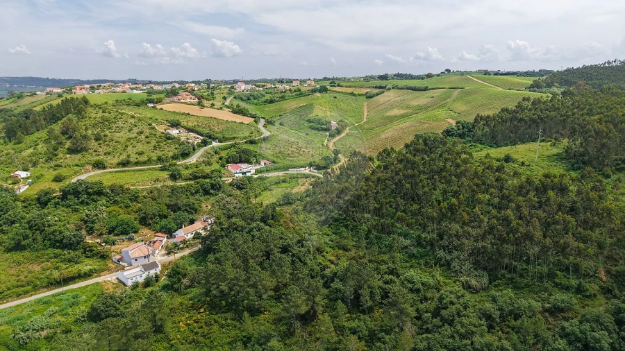 Terreno para Venda em Ribafria e Pereiro de Palhacana Foto 13