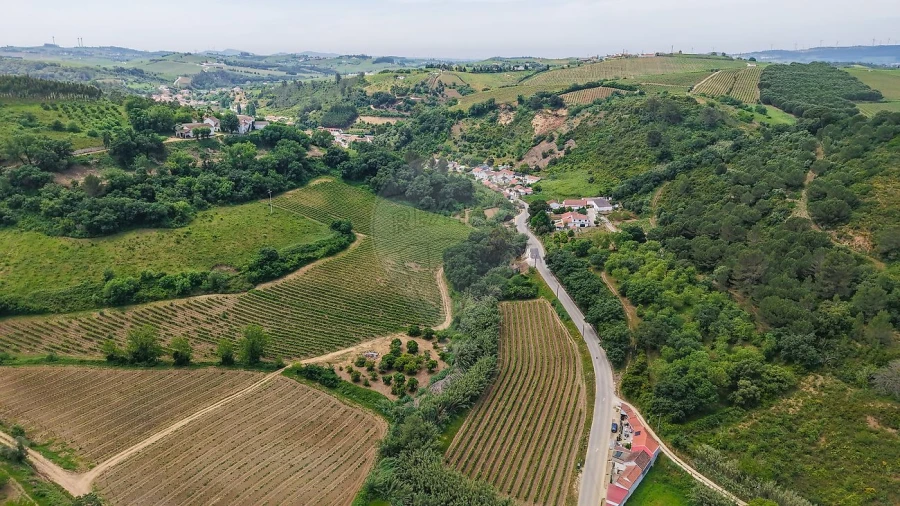 Terreno para Venda em Ribafria e Pereiro de Palhacana Foto 17
