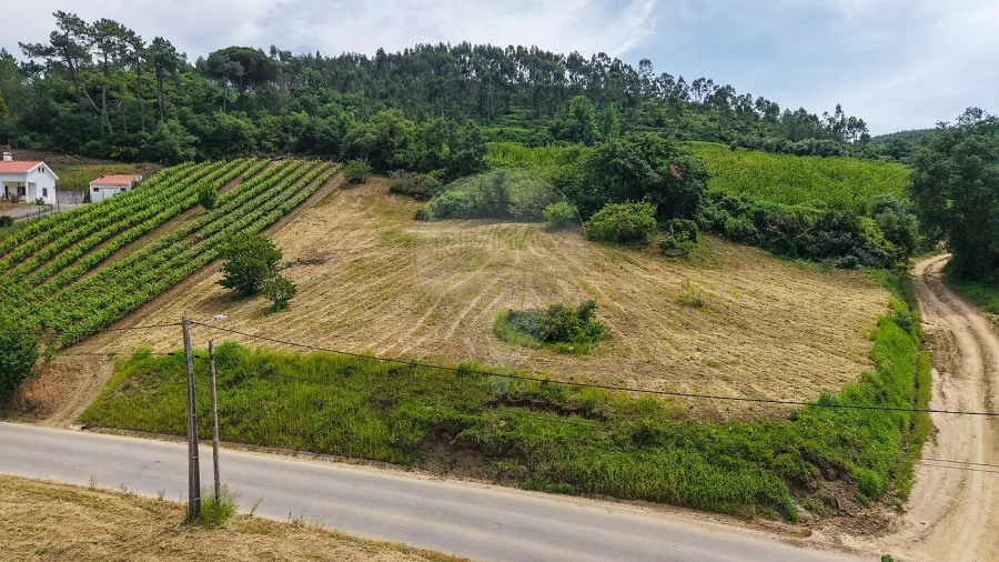 Terreno para Venda em Ribafria e Pereiro de Palhacana Foto 20