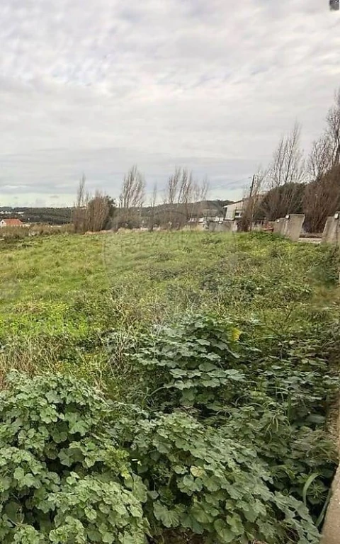 Terreno para Venda em Miragaia e Marteleira