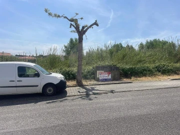 Terreno para Venda em Miragaia e Marteleira