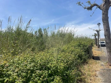 Terreno para Venda em Miragaia e Marteleira