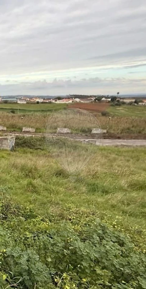 Terreno para Venda em Miragaia e Marteleira