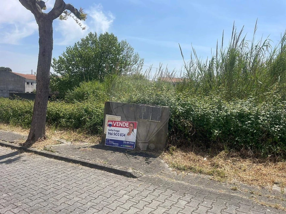 Terreno para Venda em Miragaia e Marteleira Foto 8