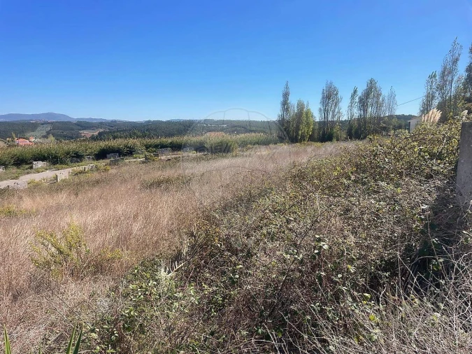 Terreno para Venda em Miragaia e Marteleira Foto 10