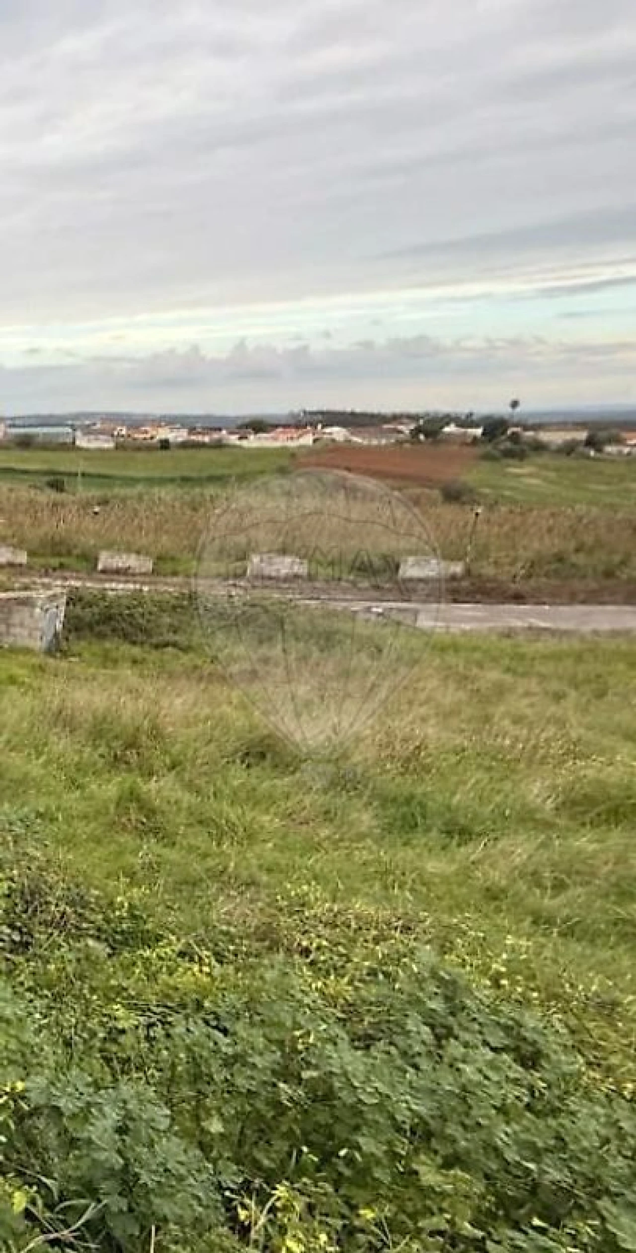 Terreno para Venda em Miragaia e Marteleira Foto 2