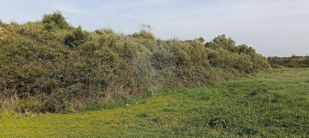 Terreno para Venda em São João das Lampas e Terrugem