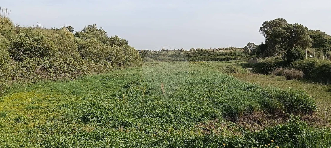 Terreno para Venda em São João das Lampas e Terrugem Foto 10
