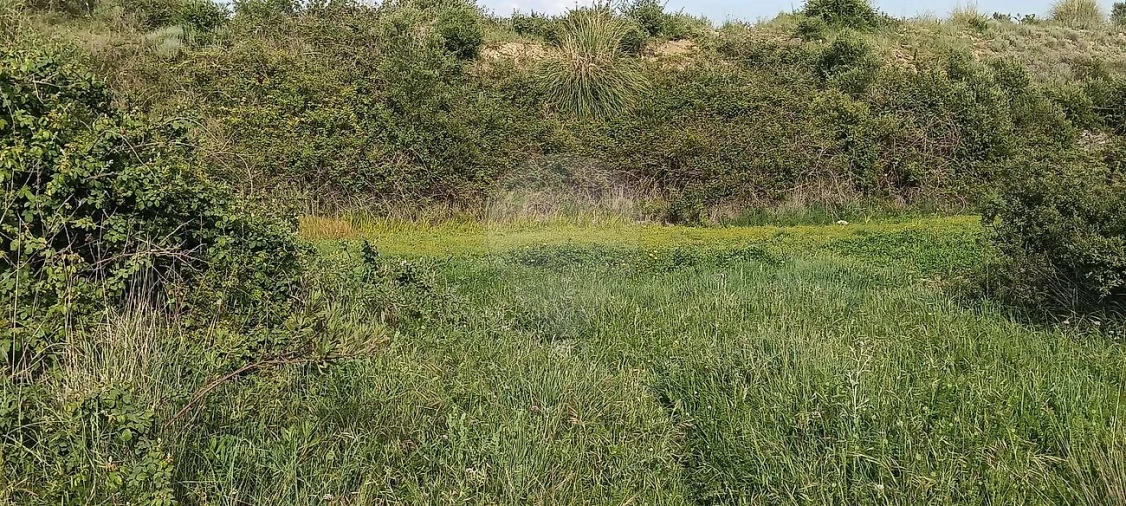 Terreno para Venda em São João das Lampas e Terrugem Foto 11
