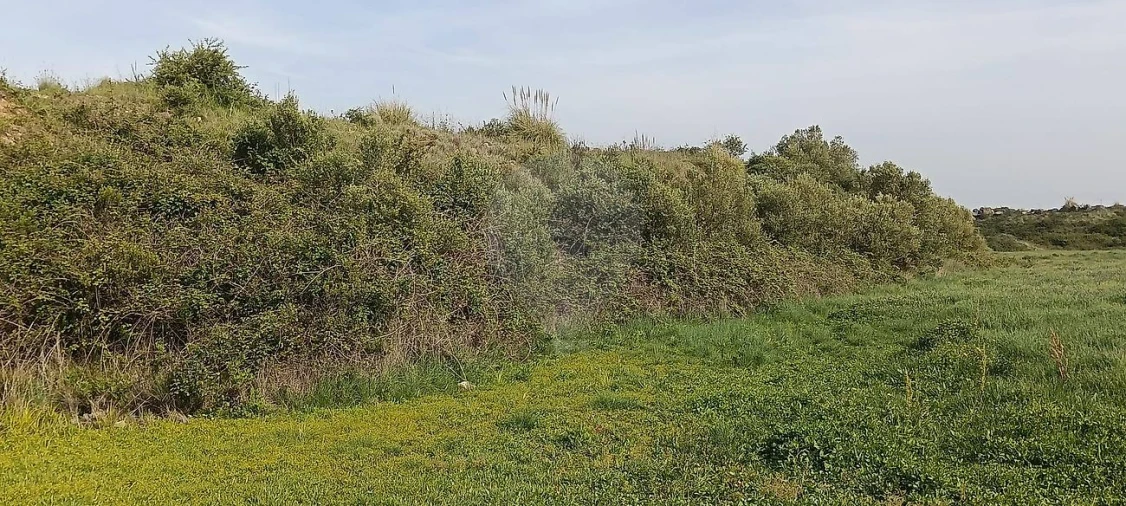 Terreno para Venda em São João das Lampas e Terrugem Foto 12
